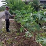 WhatsApp Image 2026 02 08 at 10.43.40