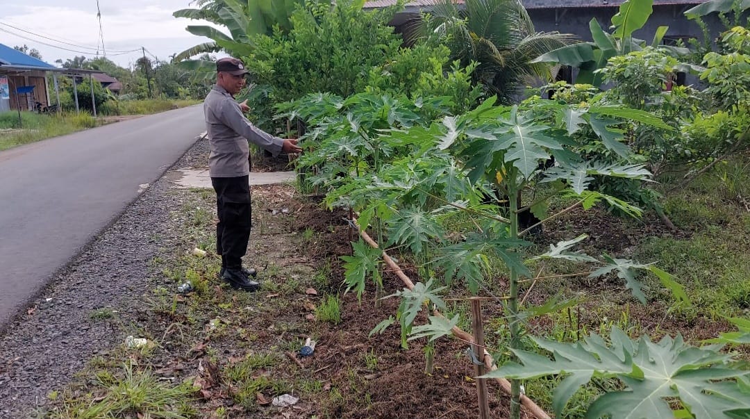 WhatsApp Image 2026 02 08 at 10.43.40