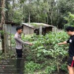 WhatsApp Image 2026 02 08 at 11.42.24