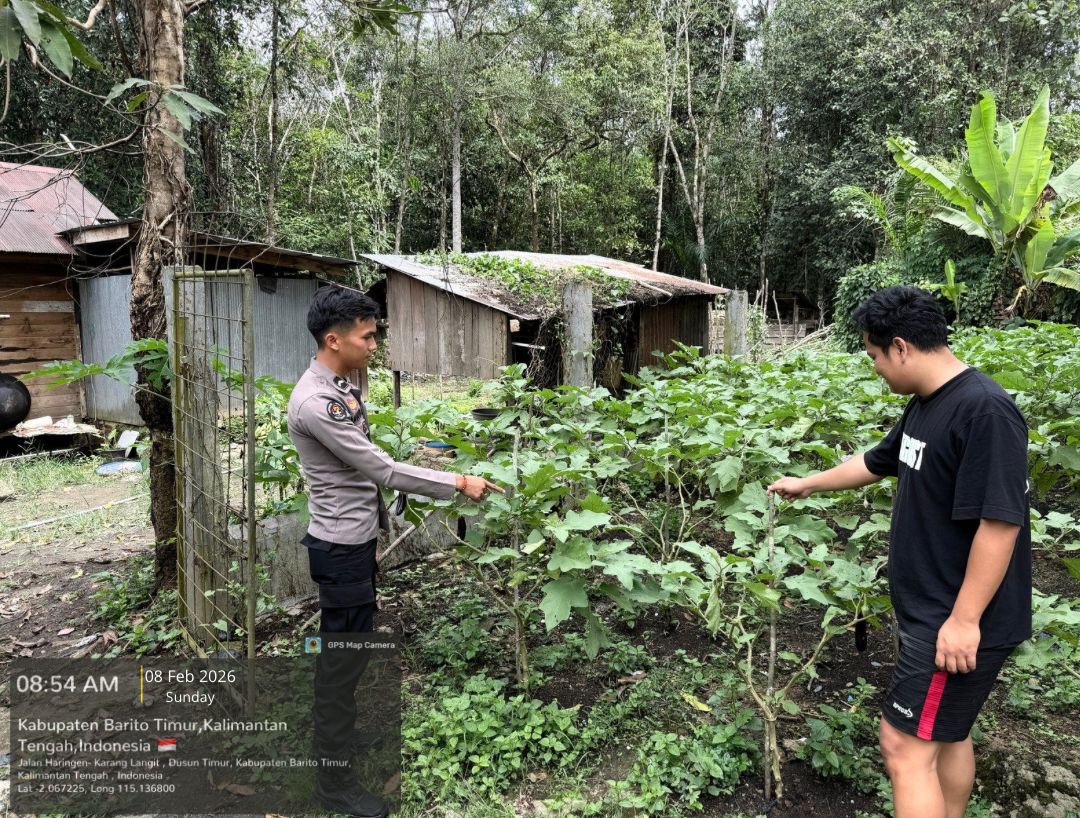 WhatsApp Image 2026 02 08 at 11.42.24