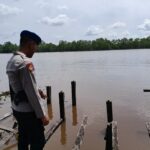 WhatsApp Image 2026 02 08 at 13.33.32