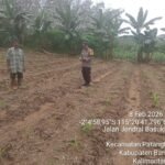 WhatsApp Image 2026 02 08 at 17.05.32