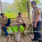 WhatsApp Image 2026 02 08 at 17.12.02