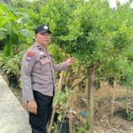 WhatsApp Image 2026 02 10 at 09.22.07