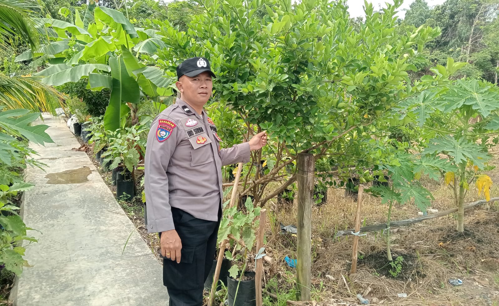 WhatsApp Image 2026 02 10 at 09.22.07