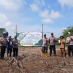 WhatsApp Image 2026 02 10 at 11.08.08