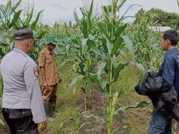 WhatsApp Image 2026 02 11 at 10.51.14