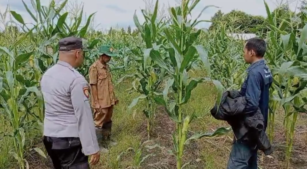 WhatsApp Image 2026 02 11 at 10.51.14