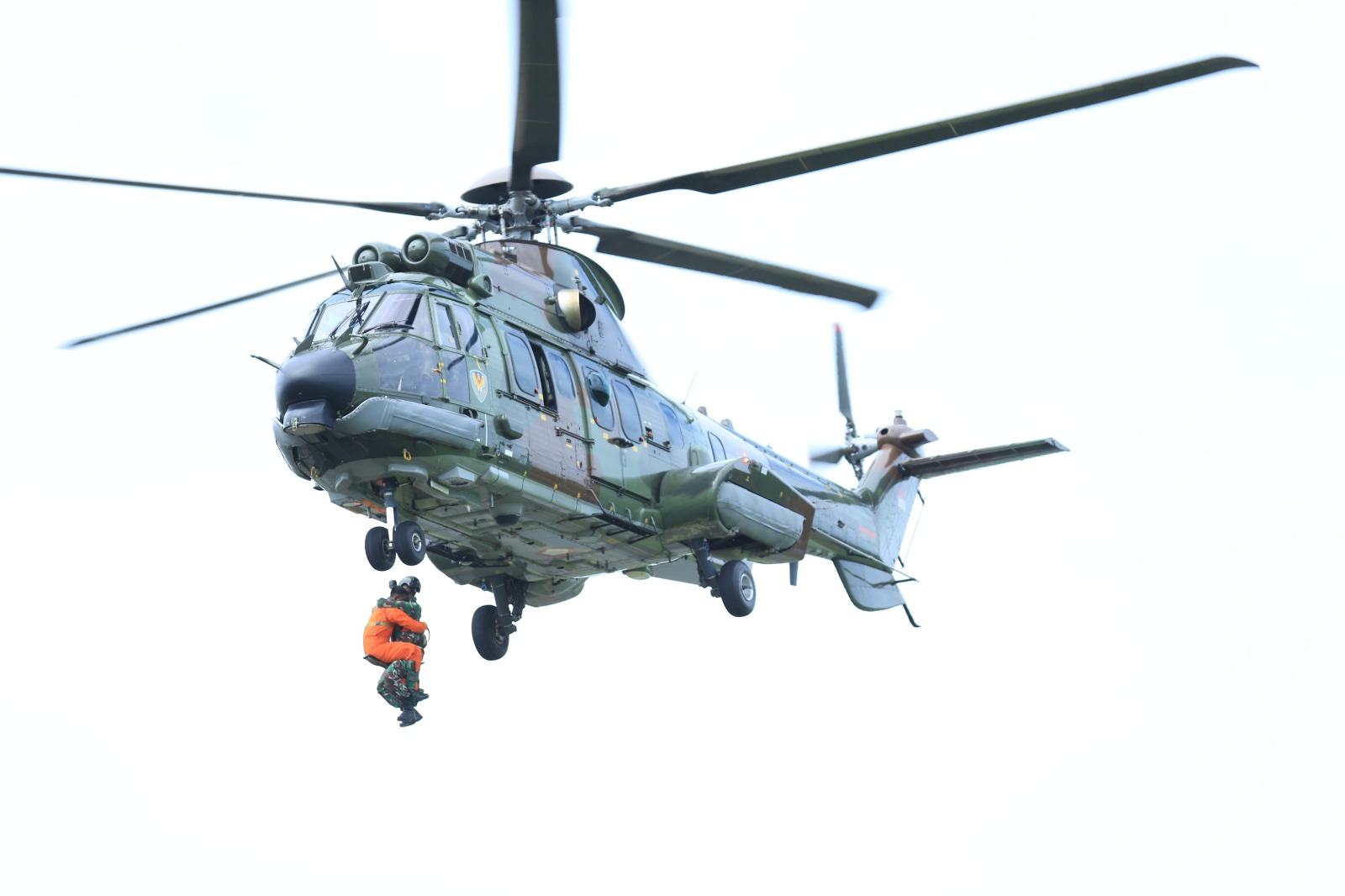 WhatsApp Image 2026 02 11 at 20.45.46 (1)