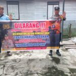 WhatsApp Image 2026 02 12 at 00.34.03