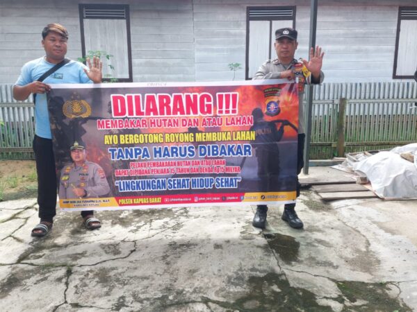 WhatsApp Image 2026 02 12 at 00.34.03