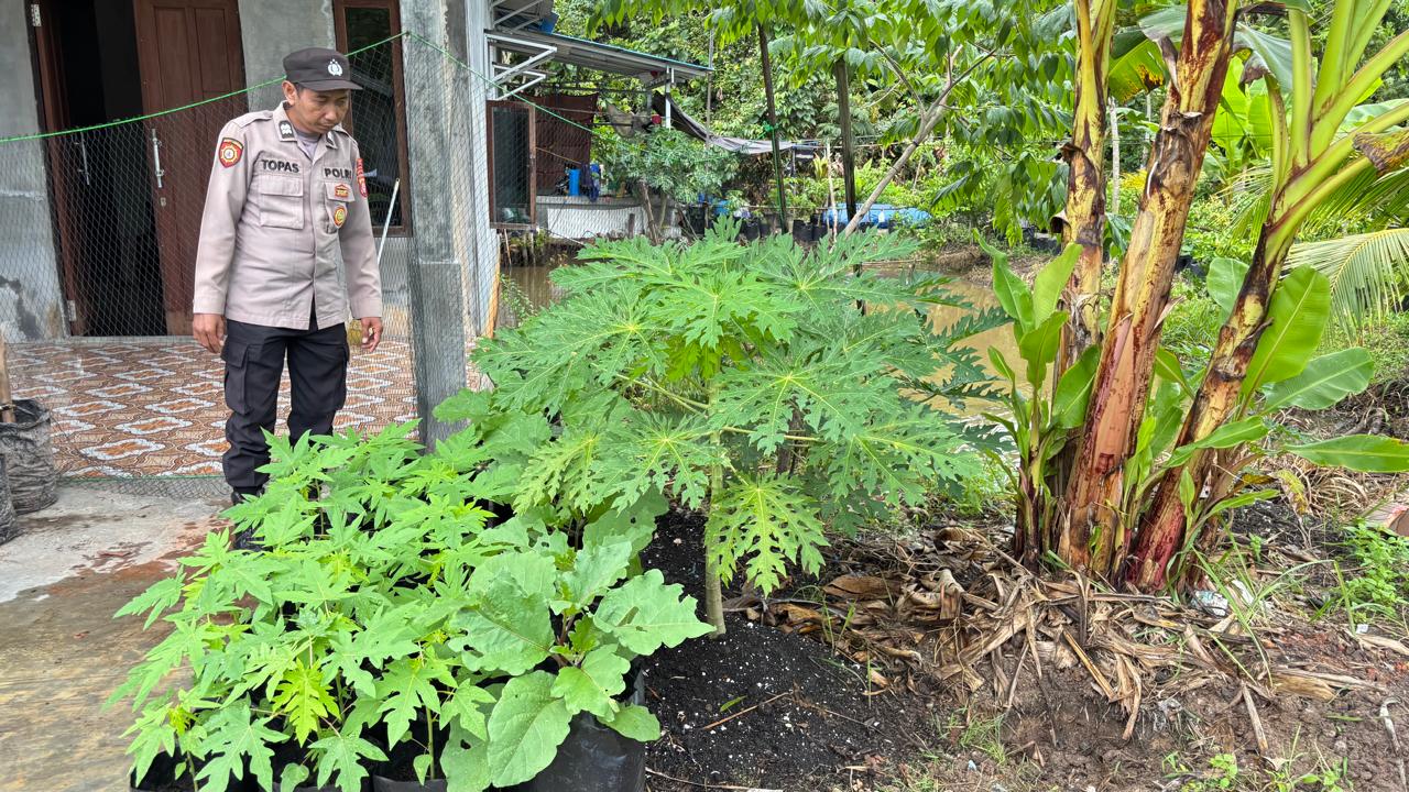 WhatsApp Image 2026 02 12 at 09.28.36