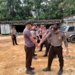 WhatsApp Image 2026 02 12 at 11.00.24