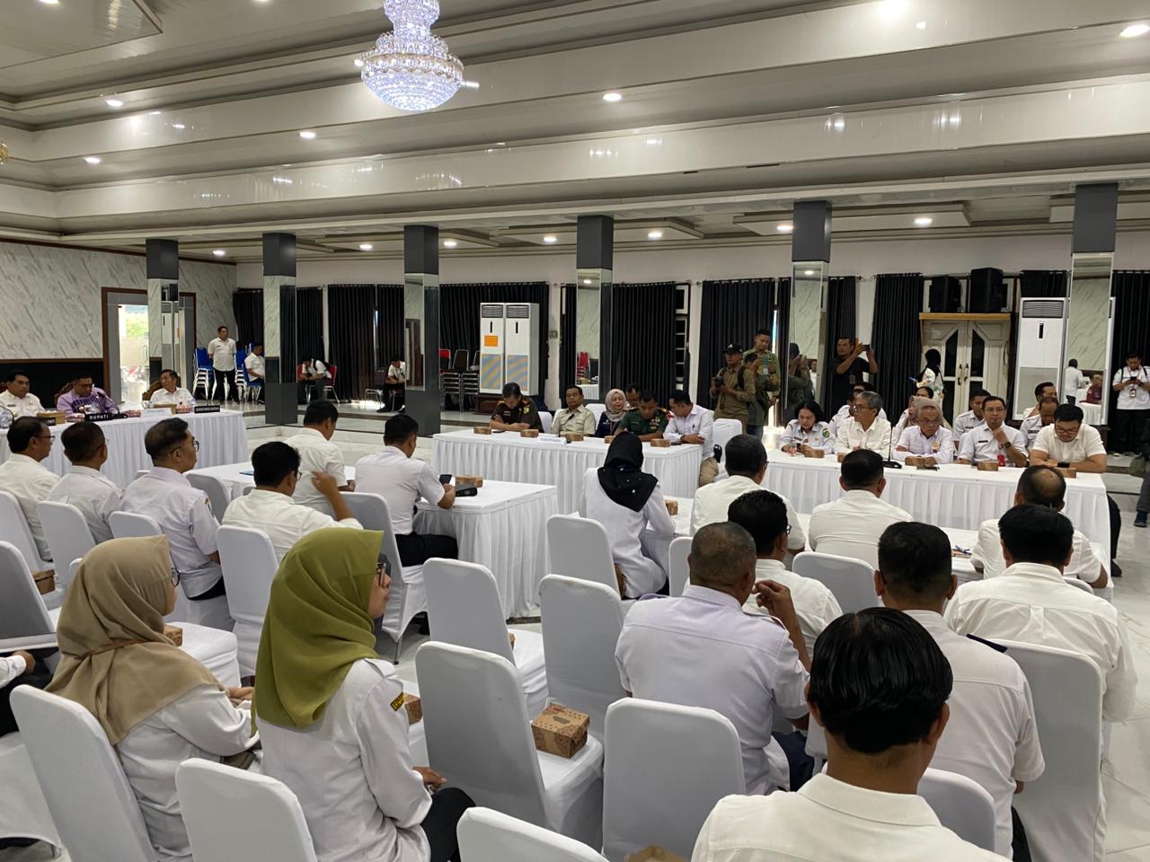 WhatsApp Image 2026 02 12 at 11.20.51 (1)