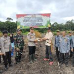 WhatsApp Image 2026 02 12 at 12.47.32