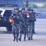 WhatsApp Image 2026 02 12 at 17.47.09