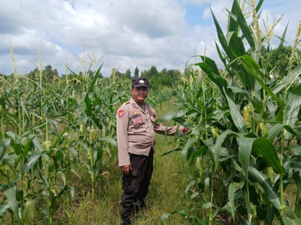 WhatsApp Image 2026 02 13 at 10.55.47