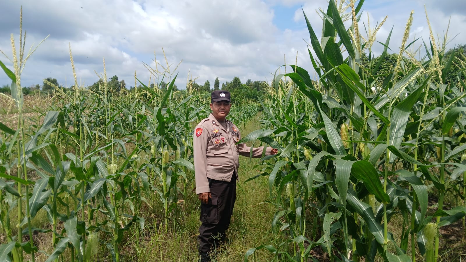 WhatsApp Image 2026 02 13 at 10.55.47