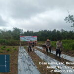 WhatsApp Image 2026 02 13 at 11.08.36