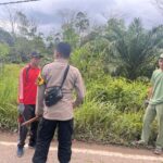 WhatsApp Image 2026 02 13 at 12.53.24