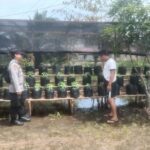 WhatsApp Image 2026 02 14 at 09.21.38