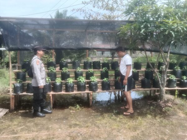 WhatsApp Image 2026 02 14 at 09.21.38