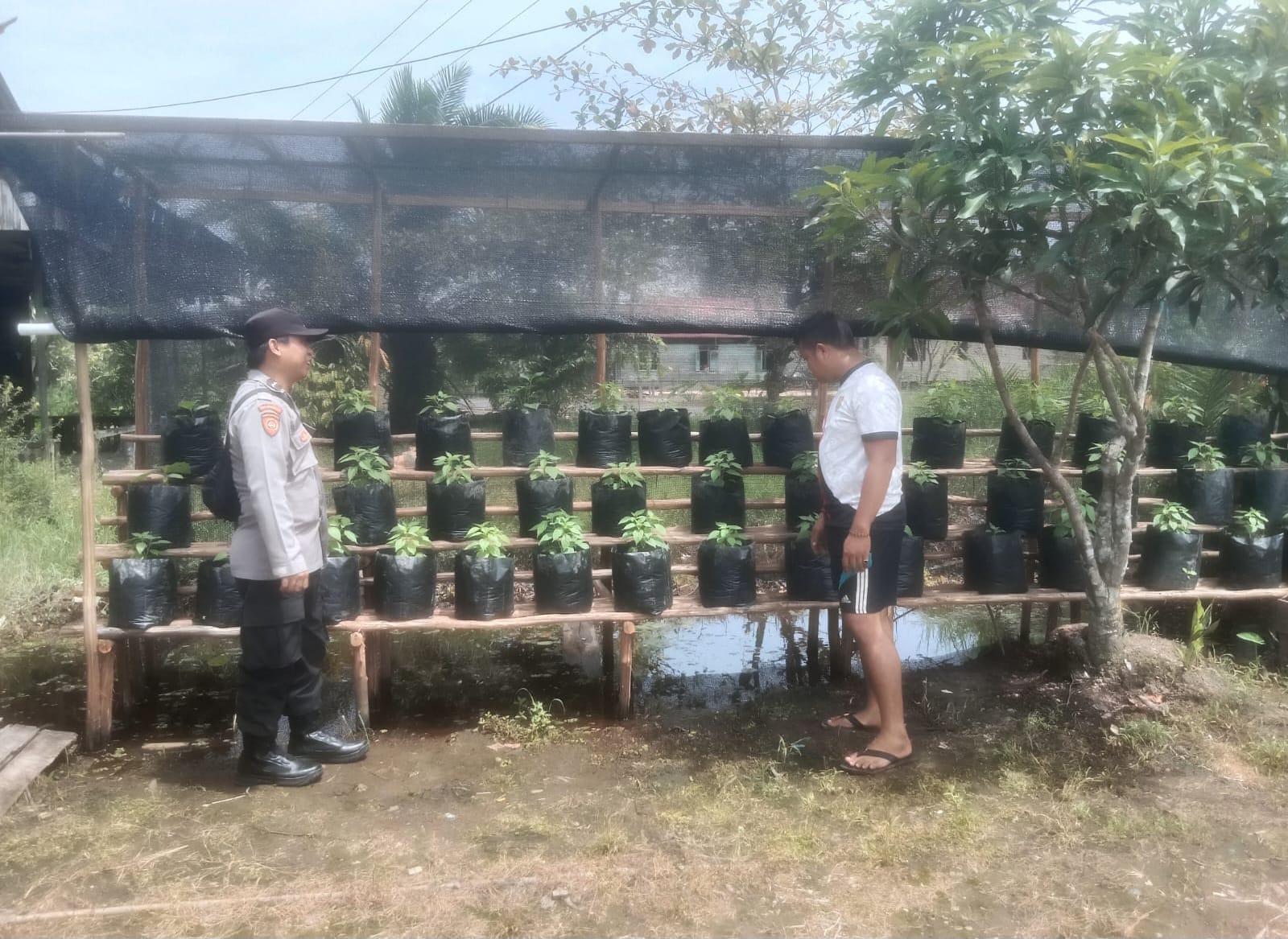 WhatsApp Image 2026 02 14 at 09.21.38