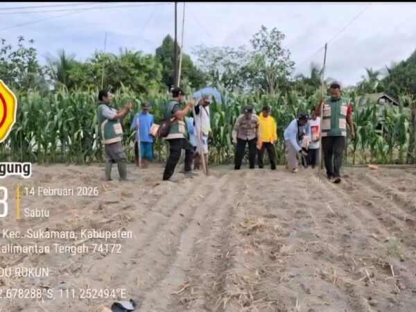 WhatsApp Image 2026 02 14 at 13.54.46