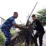 WhatsApp Image 2026 02 15 at 12.10.03