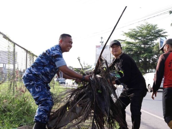 WhatsApp Image 2026 02 15 at 12.10.03