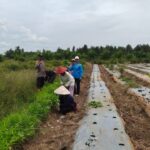 WhatsApp Image 2026 02 17 at 08.21.45