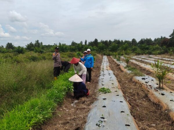 WhatsApp Image 2026 02 17 at 08.21.45