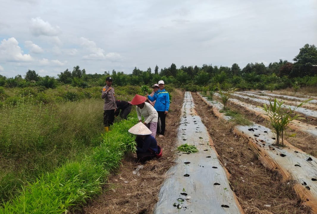 WhatsApp Image 2026 02 17 at 08.21.45