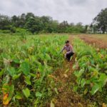 WhatsApp Image 2026 02 19 at 09.03.58