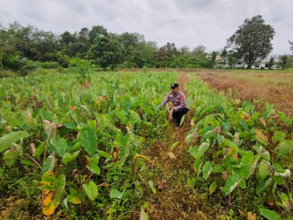 WhatsApp Image 2026 02 19 at 09.03.58