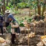 WhatsApp Image 2026 02 19 at 11.07.43