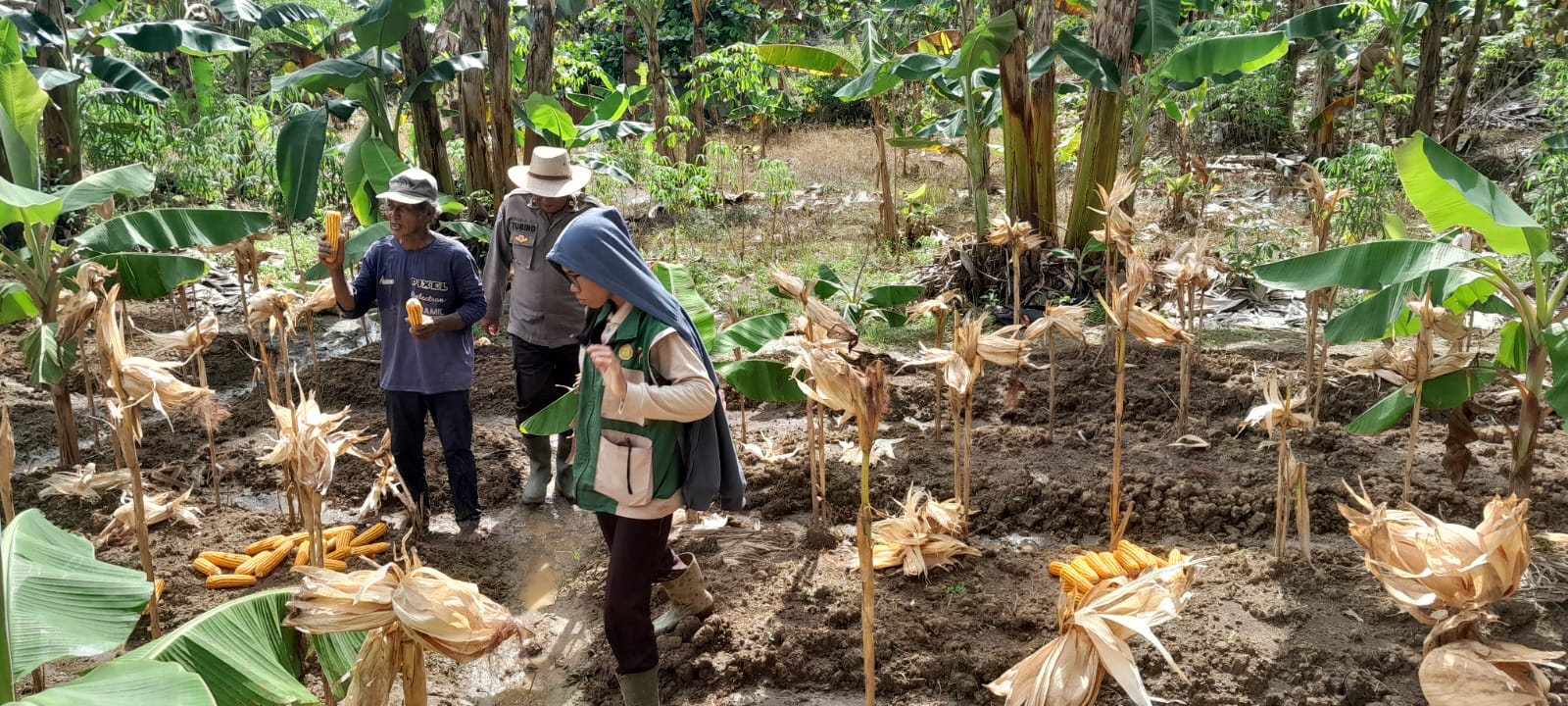 WhatsApp Image 2026 02 19 at 11.07.43