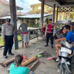 WhatsApp Image 2026 02 19 at 14.03.07