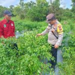 WhatsApp Image 2026 02 20 at 09.27.23