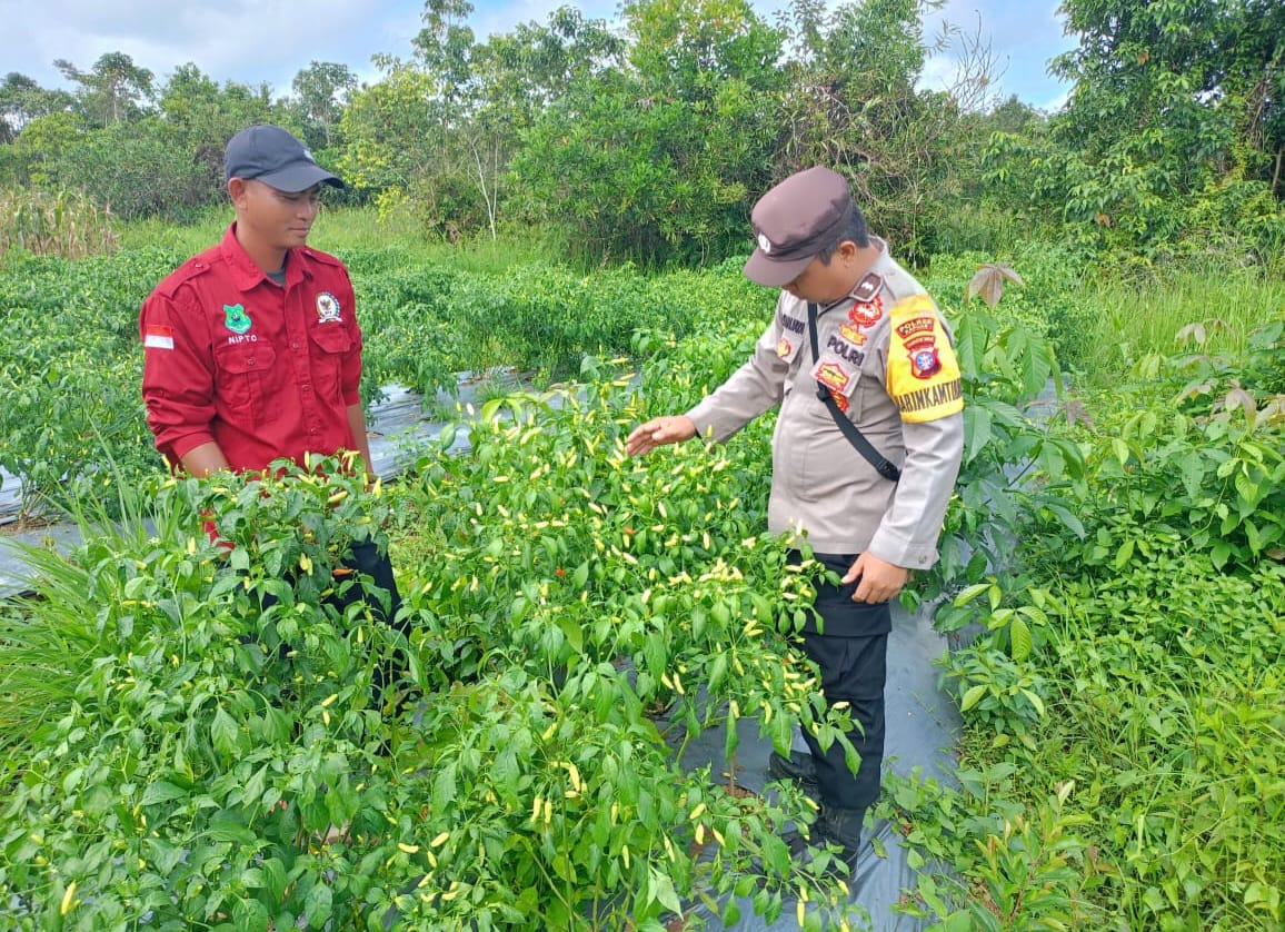 WhatsApp Image 2026 02 20 at 09.27.23