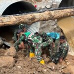 WhatsApp Image 2026 02 20 at 11.40.29