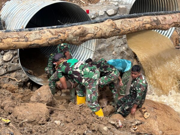 WhatsApp Image 2026 02 20 at 11.40.29