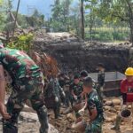 WhatsApp Image 2026 02 21 at 14.23.44 (1)