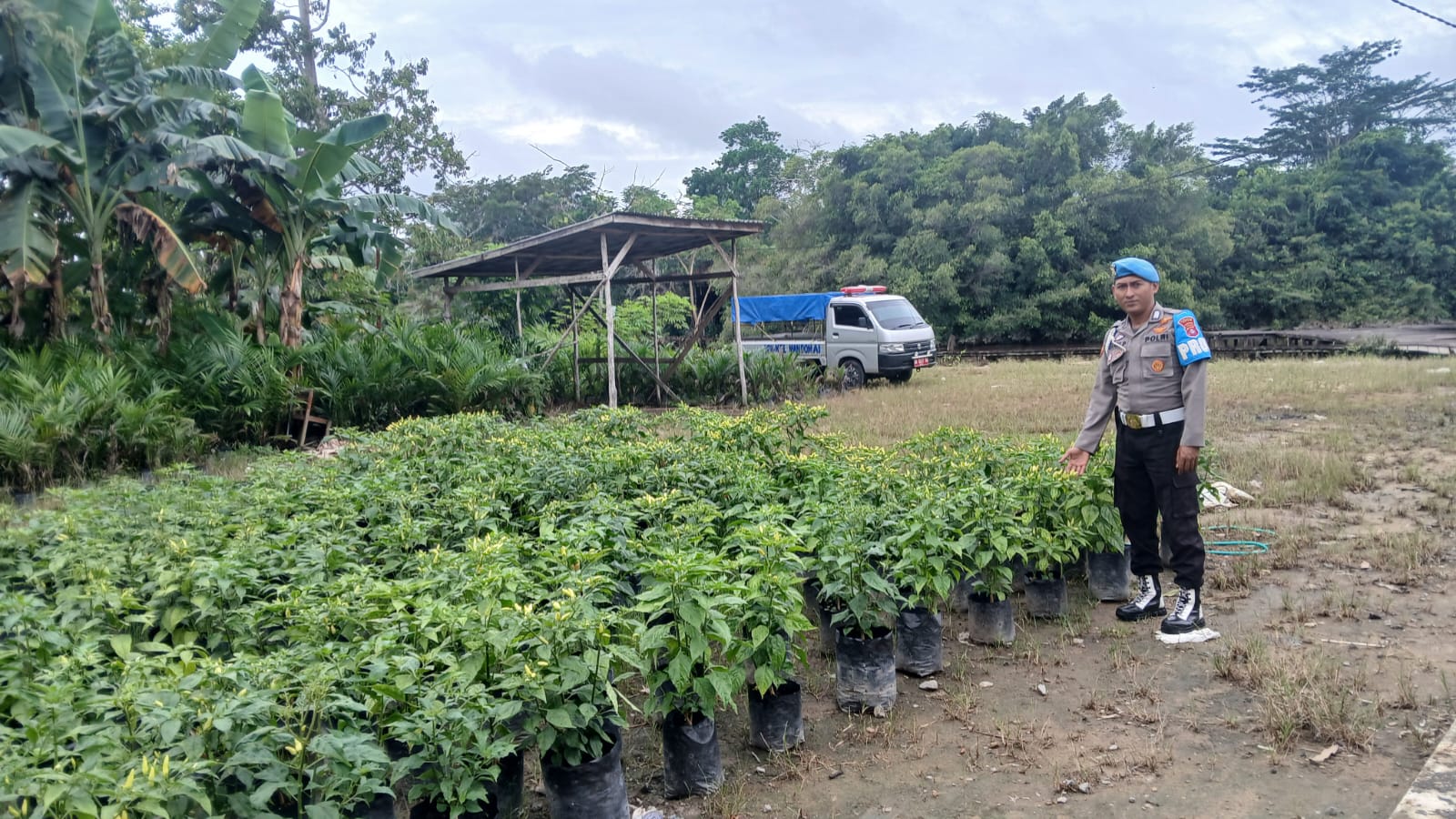 WhatsApp Image 2026 02 22 at 09.04.54