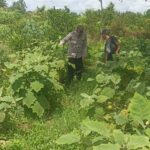 WhatsApp Image 2026 02 22 at 10.00.01