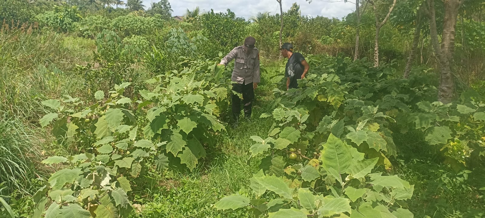 WhatsApp Image 2026 02 22 at 10.00.01