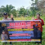 WhatsApp Image 2026 02 22 at 16.29.34