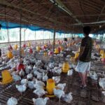 WhatsApp Image 2026 02 23 at 09.23.19