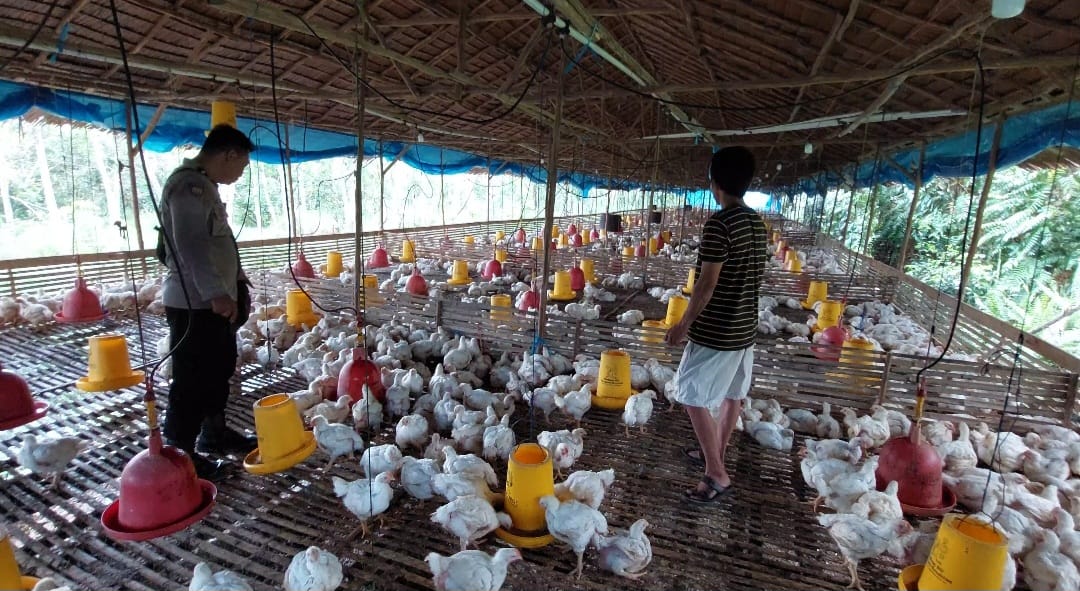 WhatsApp Image 2026 02 23 at 09.23.19