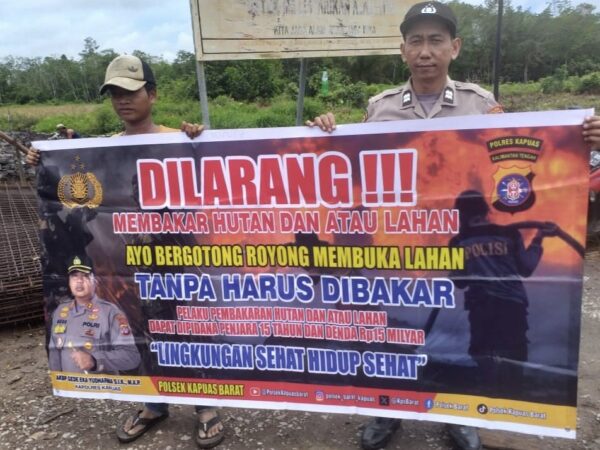 WhatsApp Image 2026 02 24 at 19.55.35